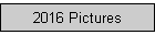 2016 Pictures